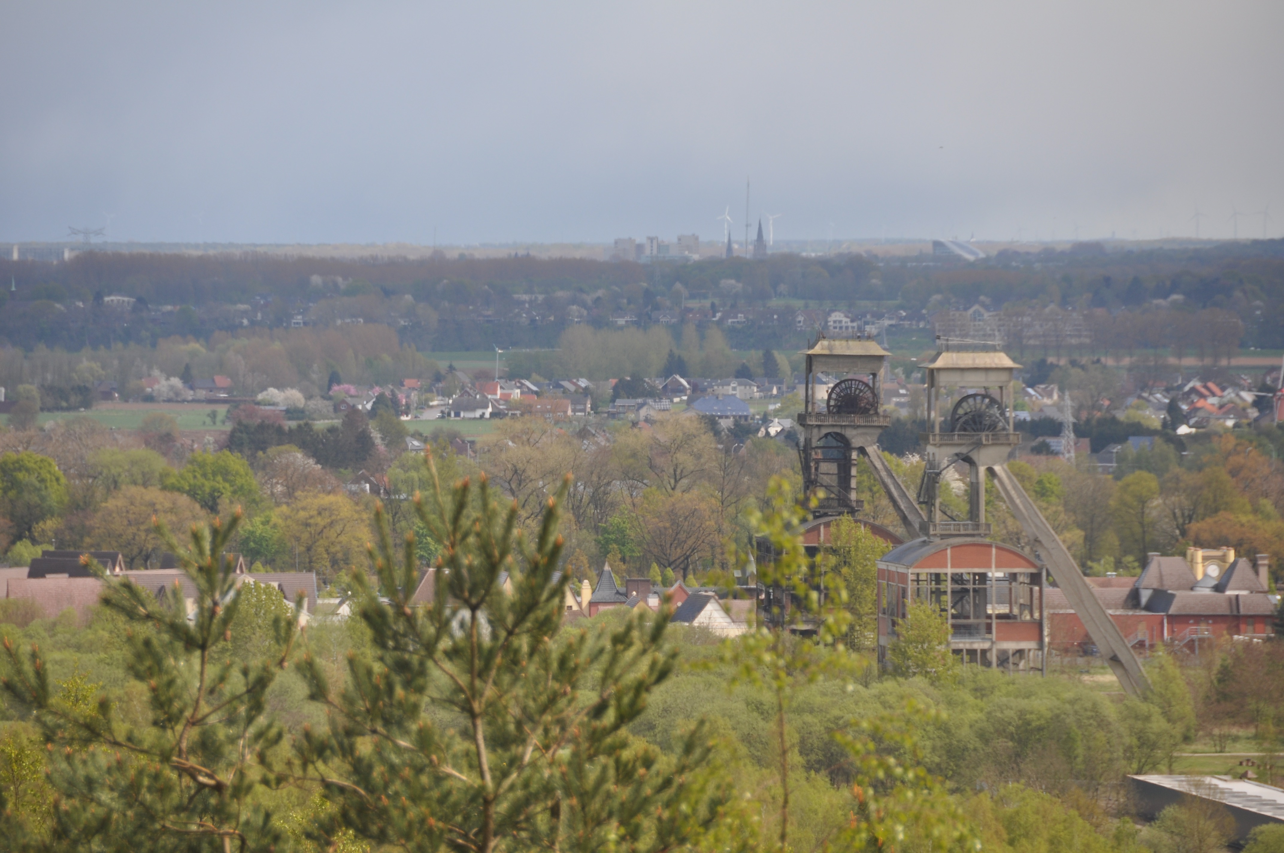 Maasmechelen