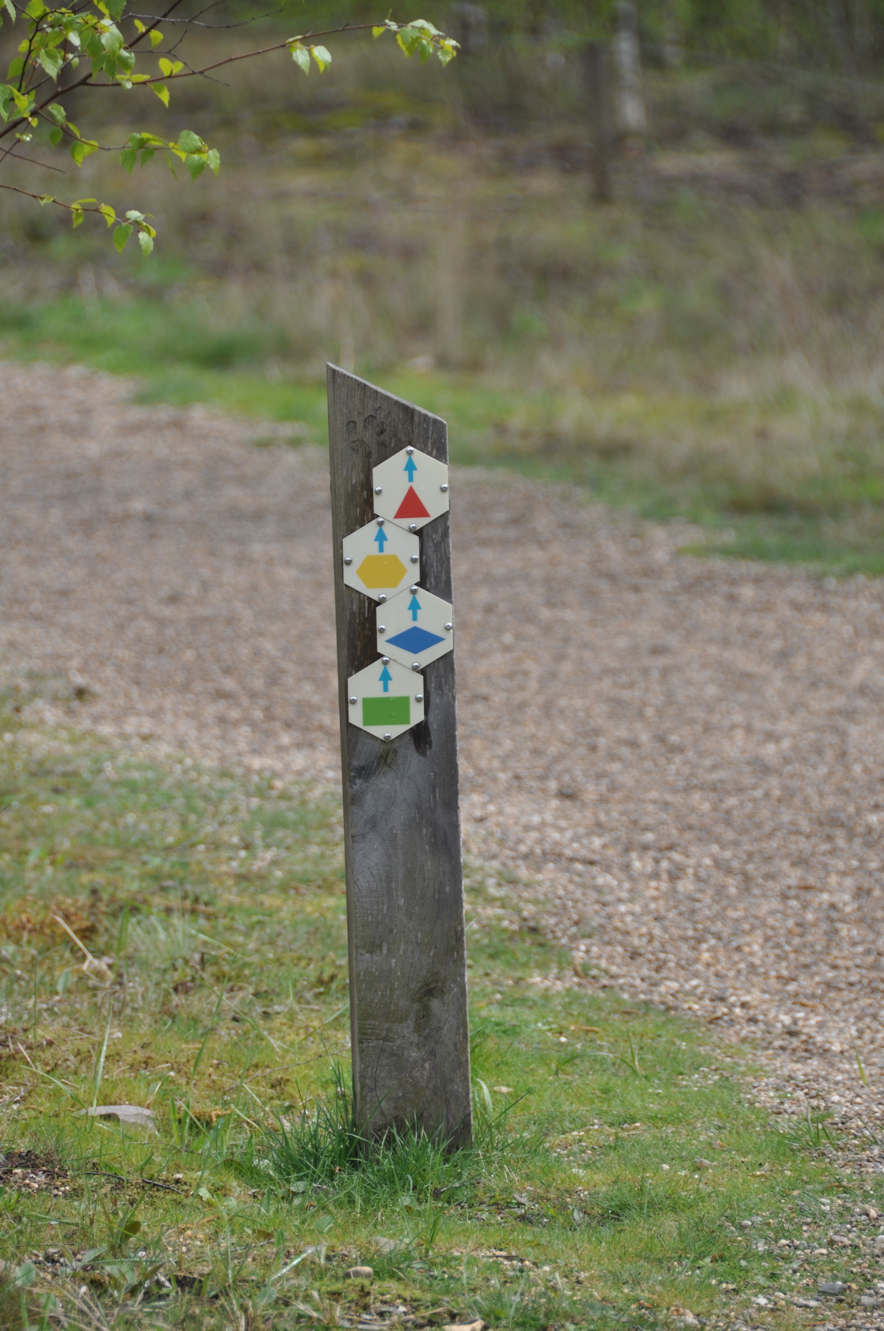 Nationaal park Hoge Kempen