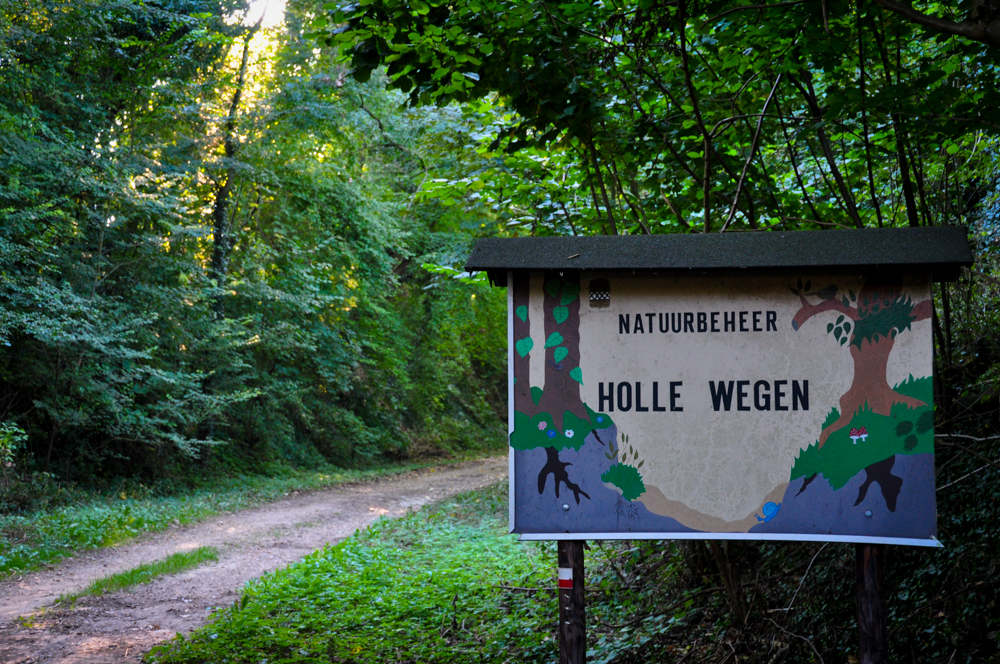 Holle wegen