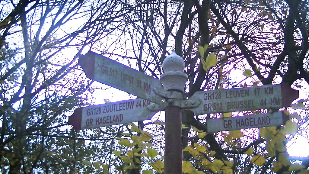wandelboom