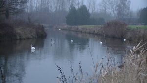 Vlaanderenroute