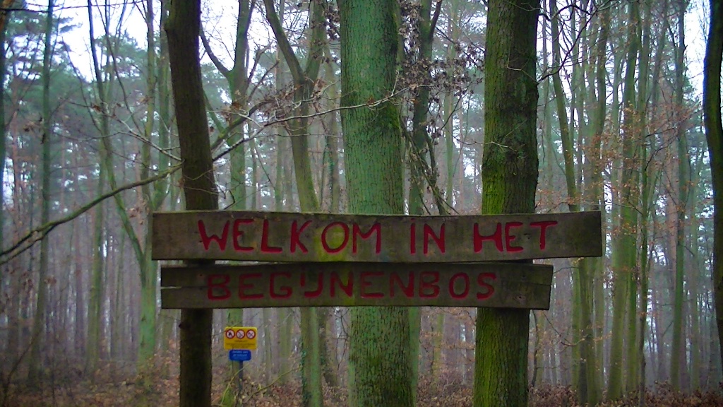 GR 128 Vlaanderenroute Begijnenbos
