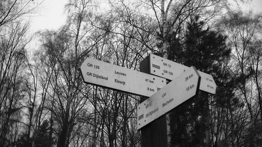 GR 128 Vlaanderenroute Wandelboom
