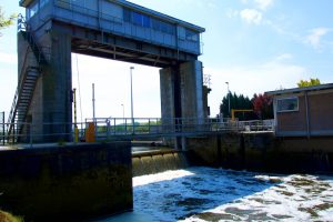 Sluis Denderbelle
