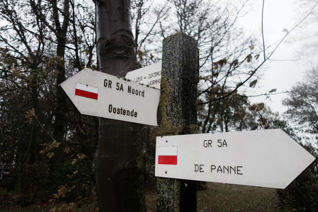 Wandelboom