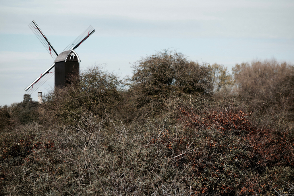 Ter Duinen