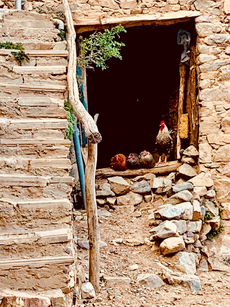 Toubkal Circuit