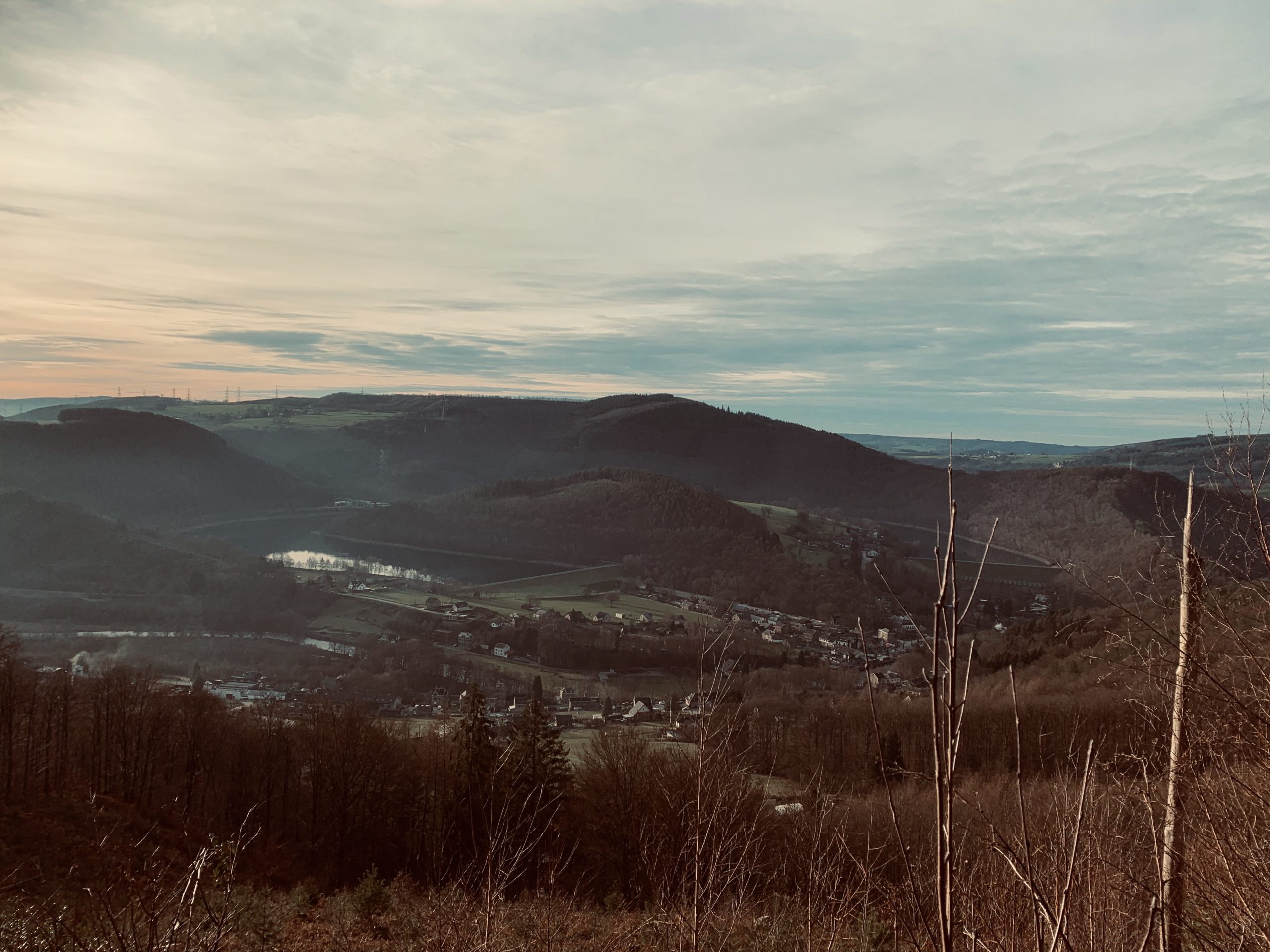 GR 517