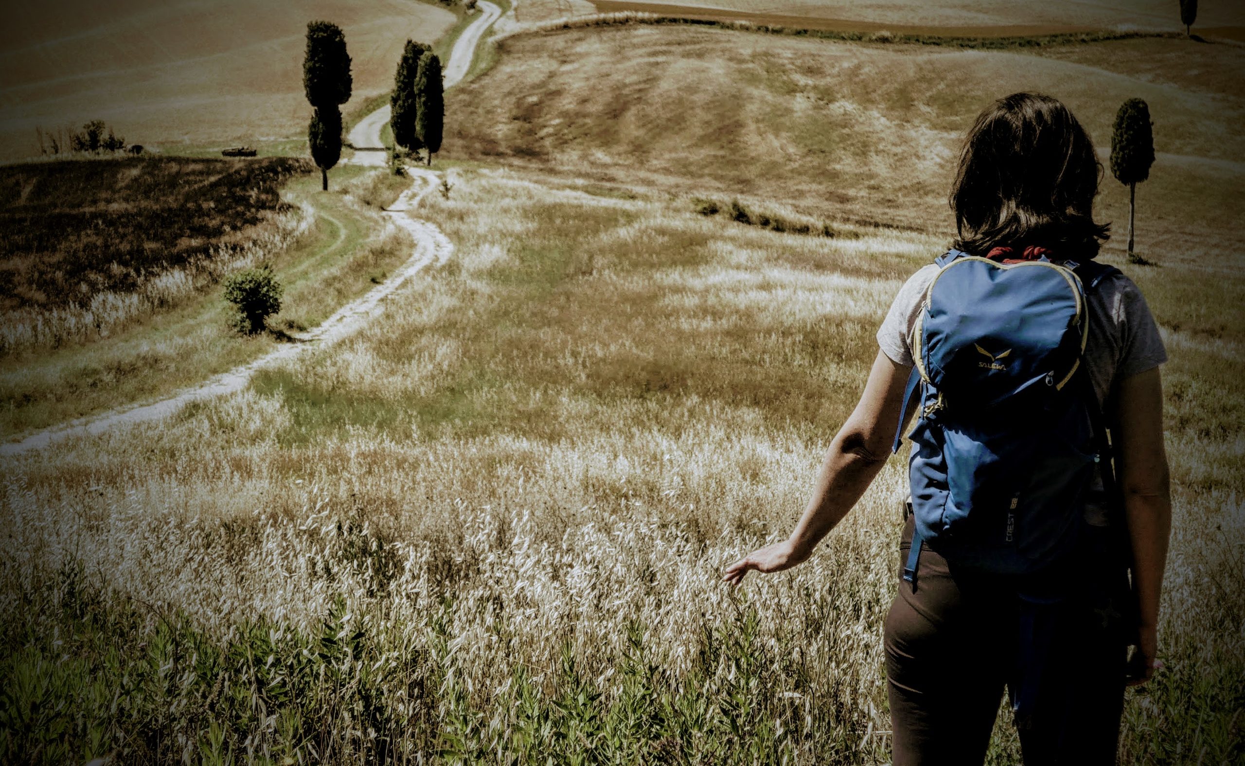 Il Gladiatore Camminare Nel Film Di Ridley Scott Camminatori Anonimi