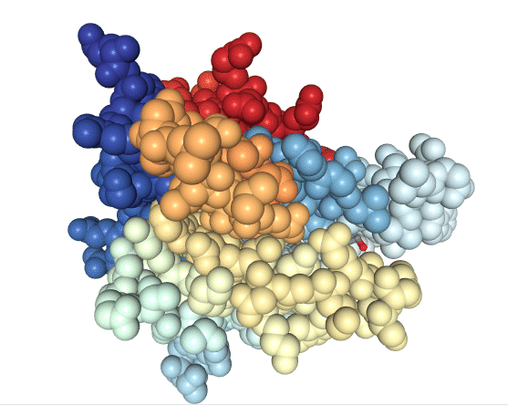 Space-fill model of the RBP completely covering RA molecule.