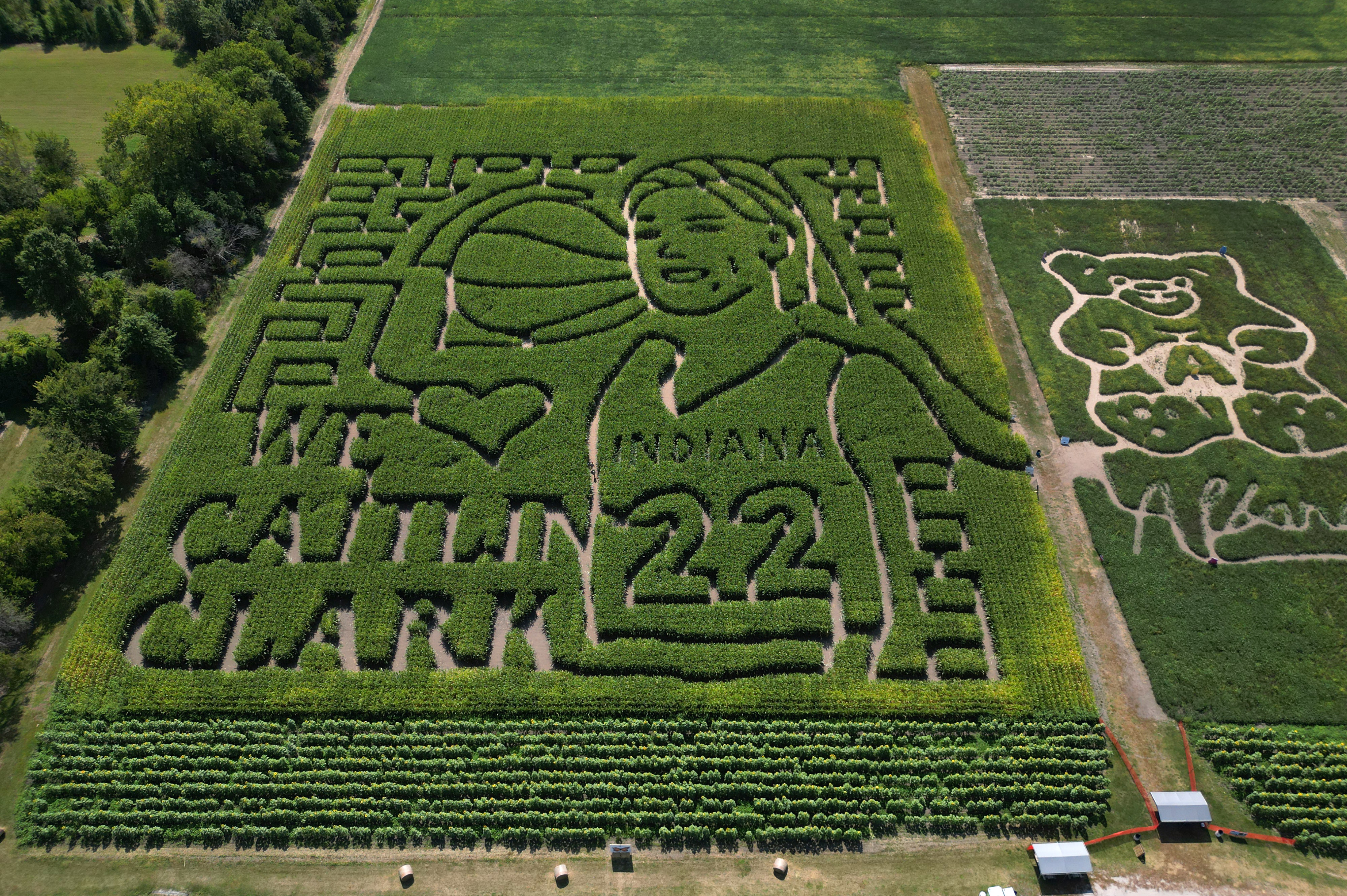 The Caitlin Clark corn maze with a photo scavenger hunt on Thursday in Hobart, Indiana. Clark plays for the Indiana Fever in the WNBA. County Line Orchard creates themed corn mazes every year. In 2016, the farm created a Cubs-themed corn maze to celebrate the World Series win. (Stacey Wescott/Chicago Tribune)