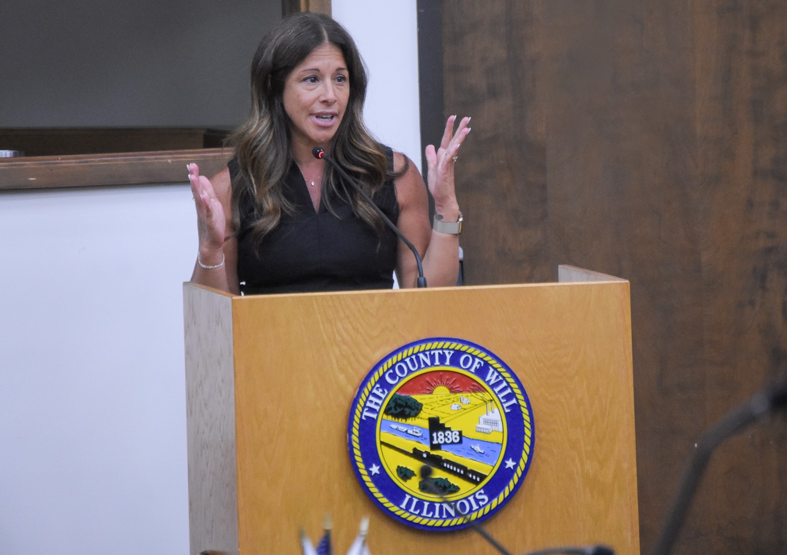 Former Will County Clerk Lauren Staley Ferry at the Aug. 15 Will County Board meeting. (Will County government)