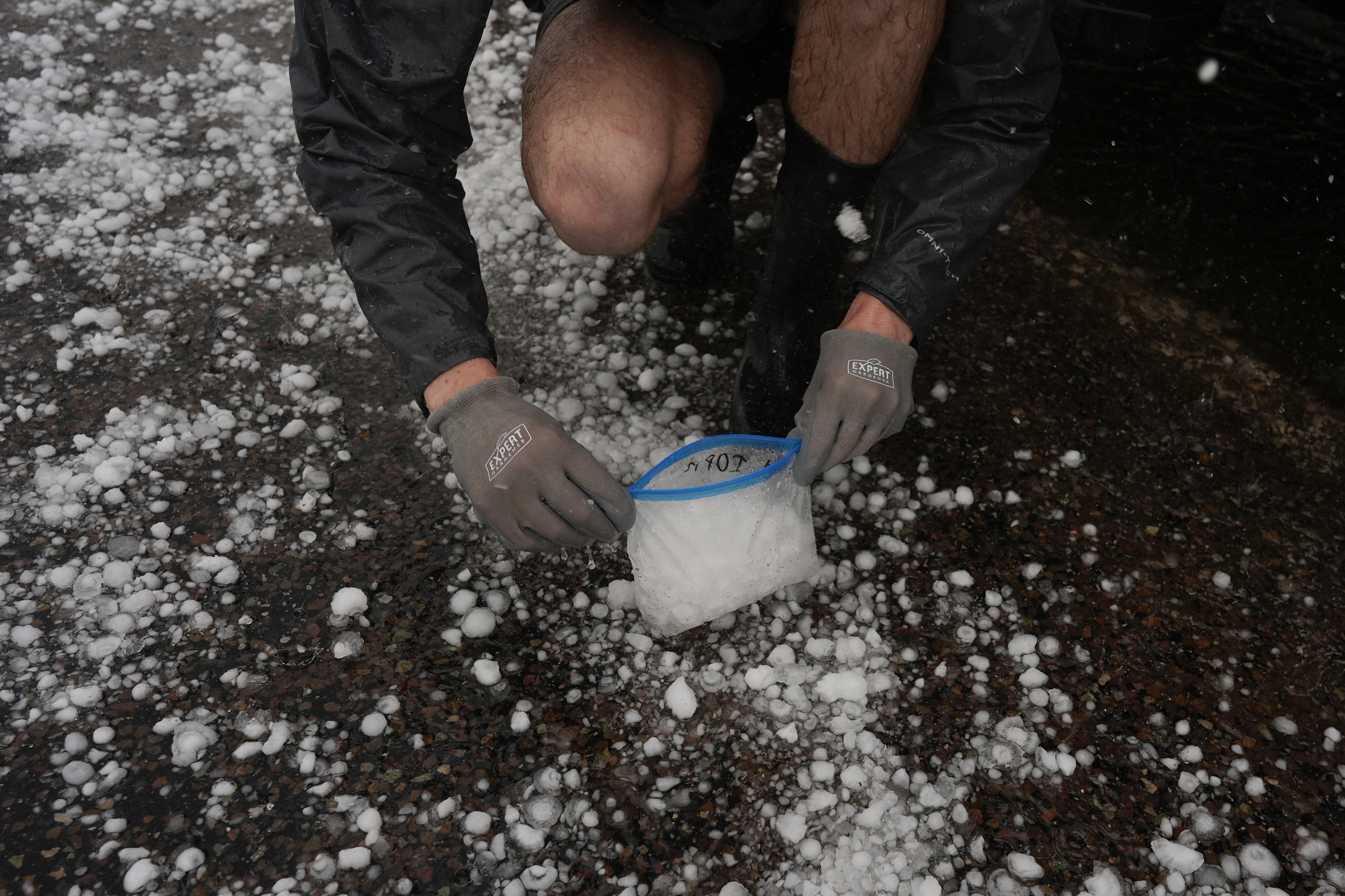 Tony Illenden crouches outside Northern Illinois University's Husky Hail Hunter to scoop hail into a bag while in a hailstorm during a Project ICECHIP operation, June 6, 2025, in Levelland, Texas. (Carolyn Kaster/AP)