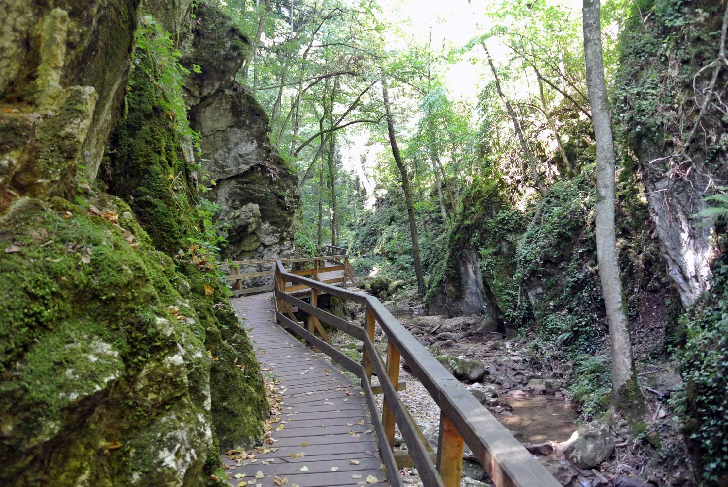 Wanderung Durch Die Johannesbachklamm Christine Unterwegs