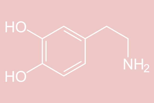 Anche Il Sistema Immunitario Comunica Mediante La Molecola Della Felicita Clicmedicina Giornale Medico On Line