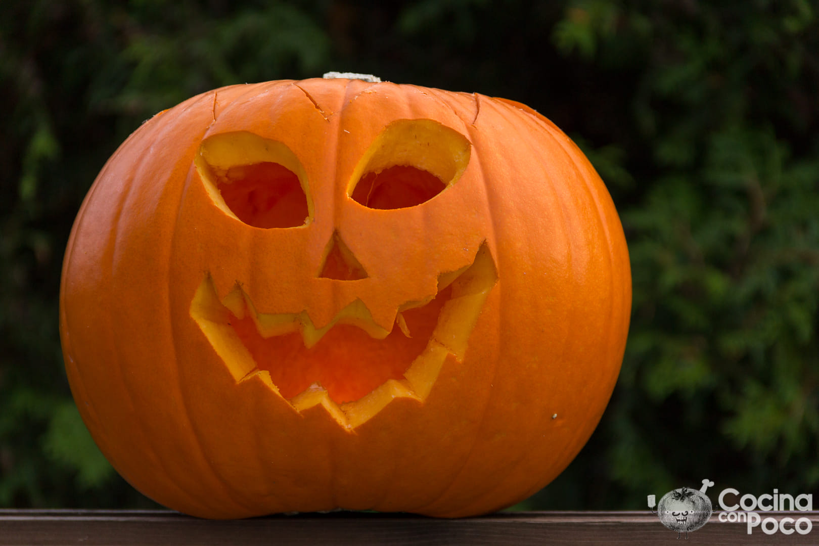 Calabaza De Halloween Como Decorar Con Plantillas Vaciar Y Tallar Tu Propia Jack O Lantern Cocina Con Poco