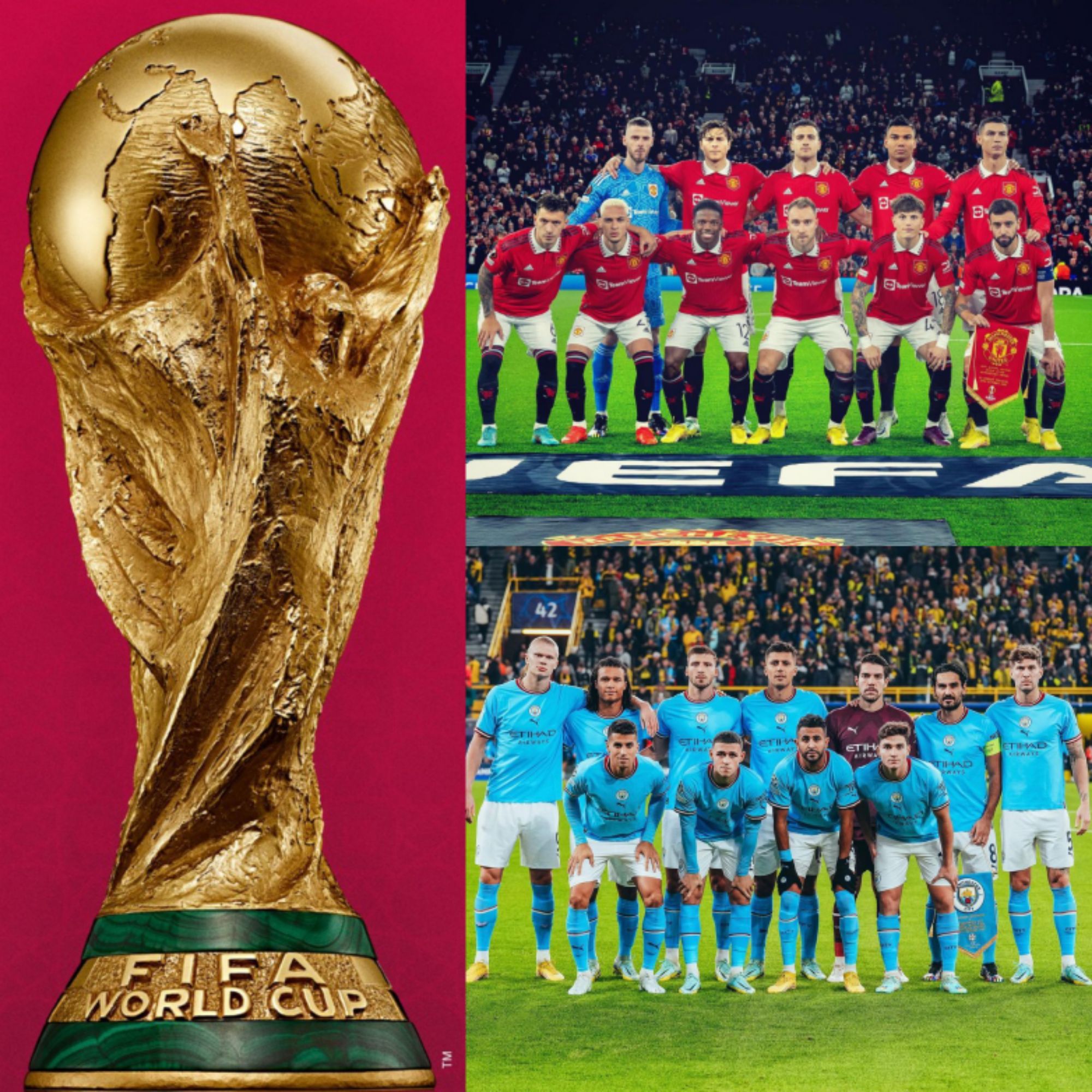 Brighton And Hove Albion Archives Complete Sports