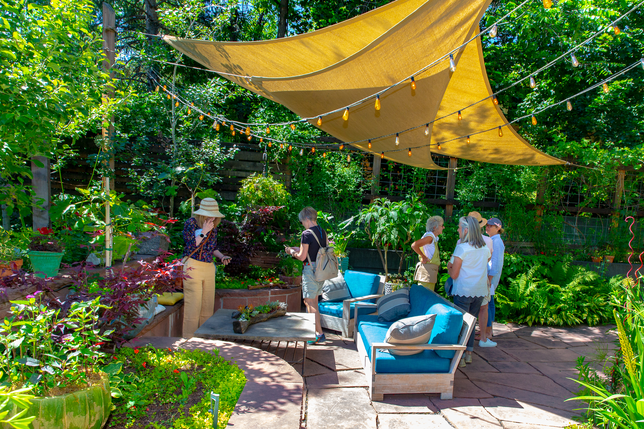 The Boulder Garden Tour will take guests through unique, private gardens and homesteads in the historic Mapleton Hill neighborhood. (Sal DeVincenzo/Courtesy photo)