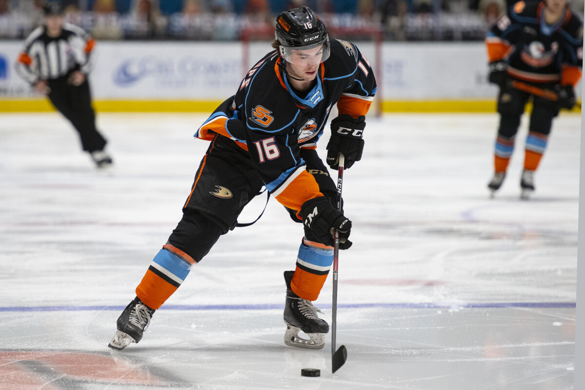 2020 2021 Game 19 San Diego Gulls Tuscon Roadrunners Defend The Nest