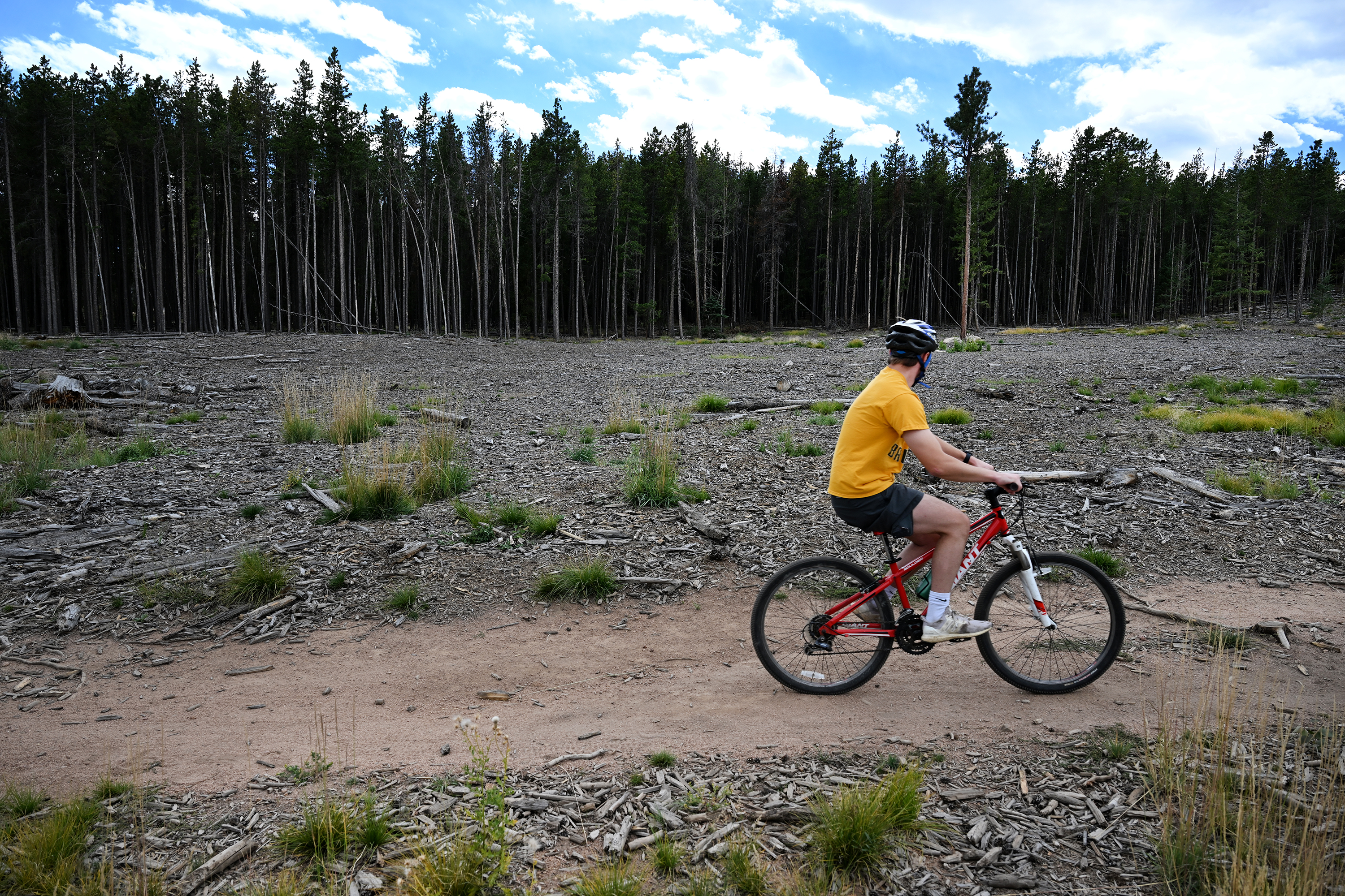 A cyclist rides his bike along Shadow Pine Loop, an area where fire mitigation projects have taken place, at Flying J Ranch Park in Conifer on Sept. 20, 2022. Jeffco Open Space allows electric mountain bikes. (Photo by Helen H. Richardson/The Denver Post)