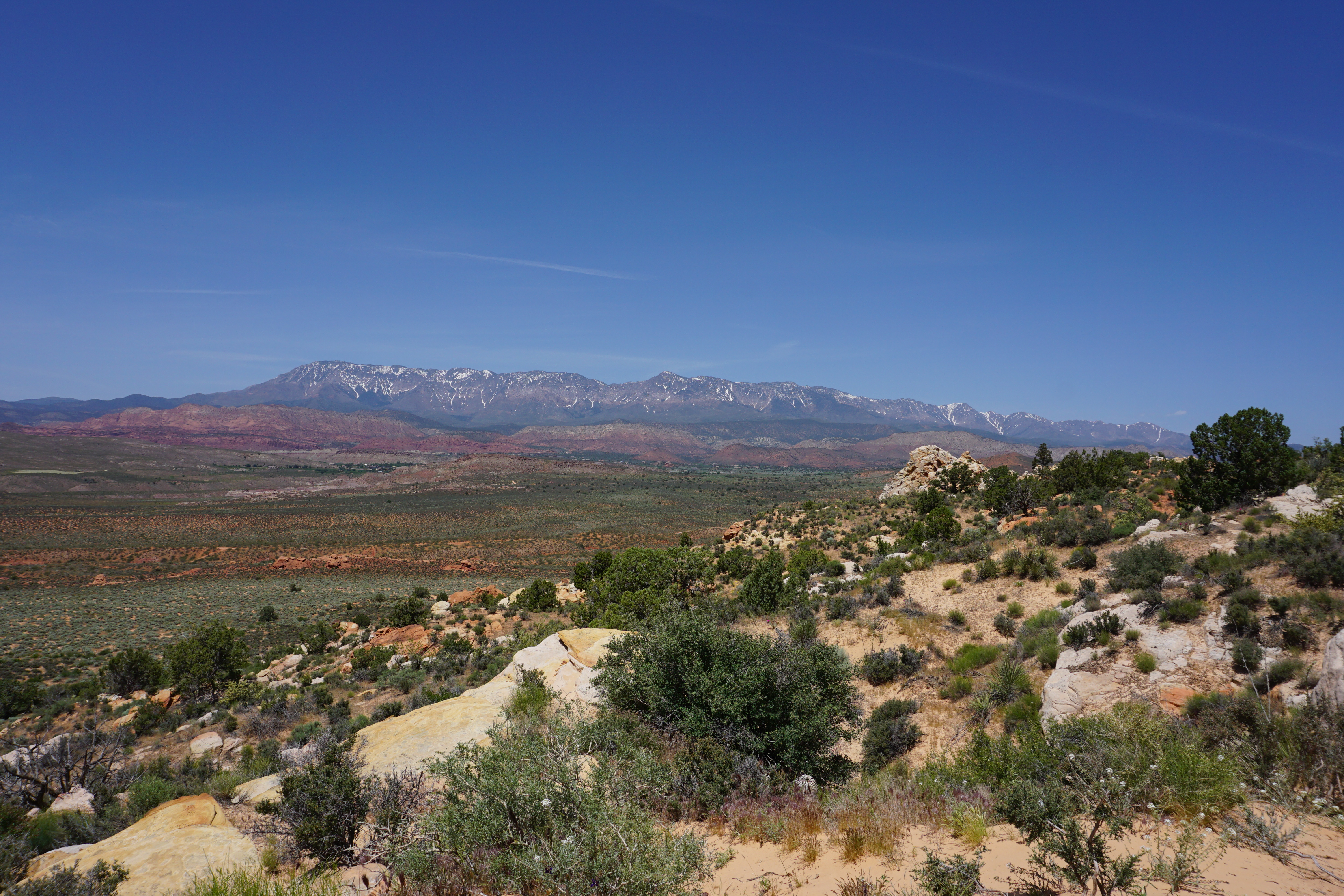 Pine Valley Mountains as seen from Red Cliffs National Conservation Area on May 9, 2023. (Photo by Sarah Kuta/Special to The Denver Post)