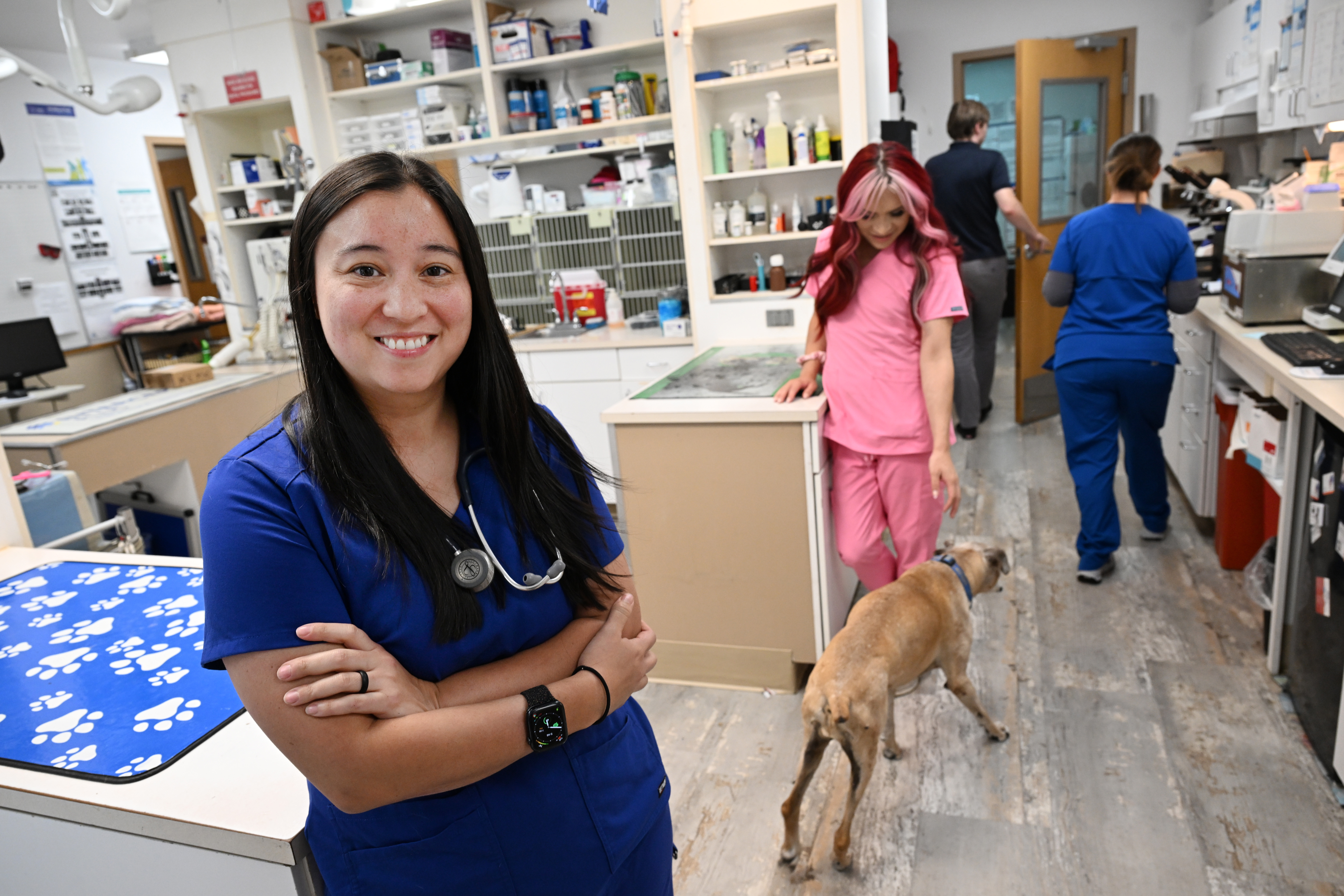 Veterinarian Dr. Cynthia Sweet, DVM, left, poses for a portrait after doing a senior wellness check on Maddie, a 14 year old boxer, right, at Belcaro Animal Hospital at 5023 Leetsdale Drive in Denver on June 18, 2024. (Photo by Helen H. Richardson/The Denver Post)