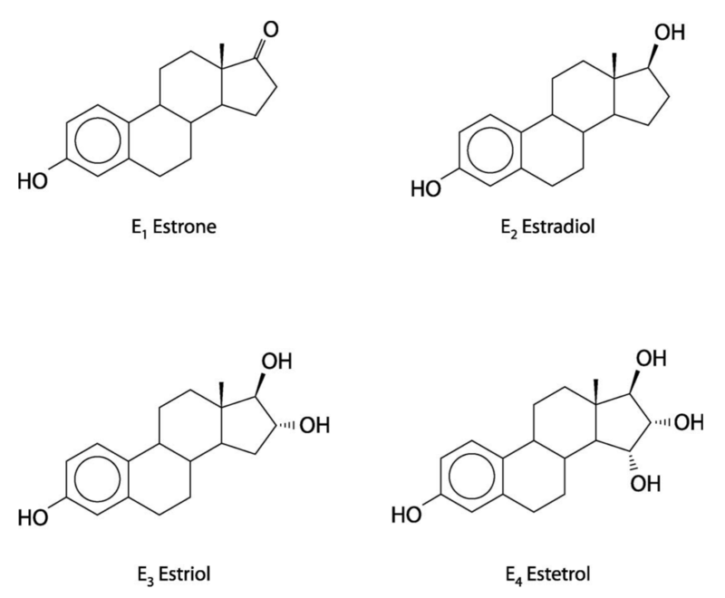 Difference Between Oestrogen and Progesterone 