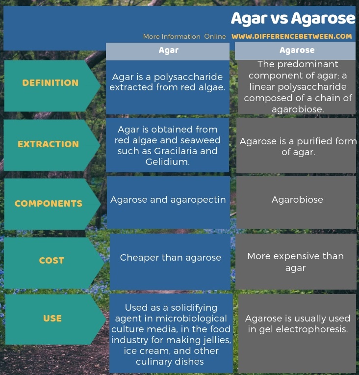 Difference Between Agar and Agarose in Tabular Form