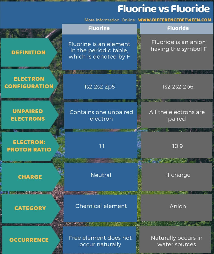 Difference Between Fluorine and Fluoride - Tabular Form