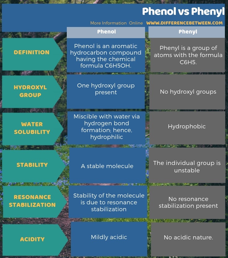 Difference Between Phenol and Phenyl in Tabular Form