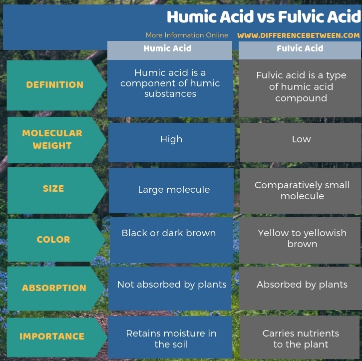 Difference Between Humic Acid and Fulvic Acid in Tabular Form