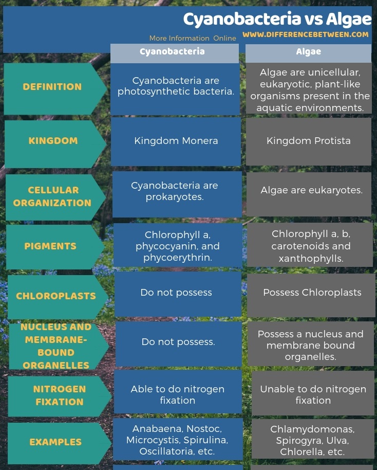 Difference Between Cyanobacteria and Algae in Tabular Form