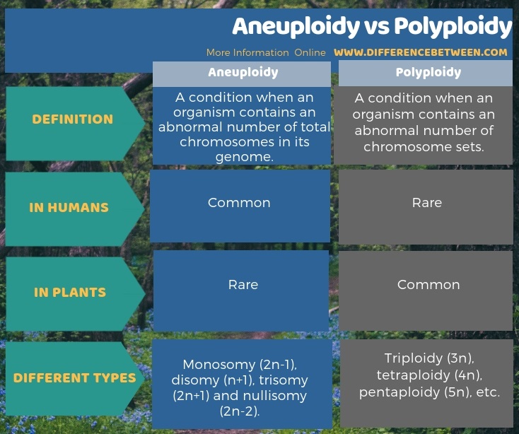 Difference Between Aneuploidy and Polyploidy in Tabular Form