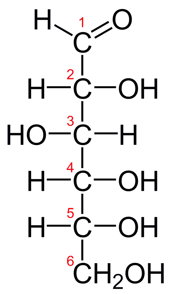 Difference Between Glucose and Galactose