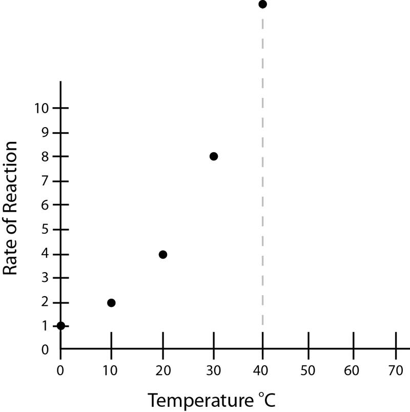 Difference Between Reaction Rate and Specific Rate Constant