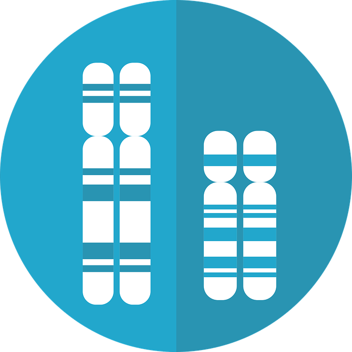 Key Difference Between Plasmid and Chromosome