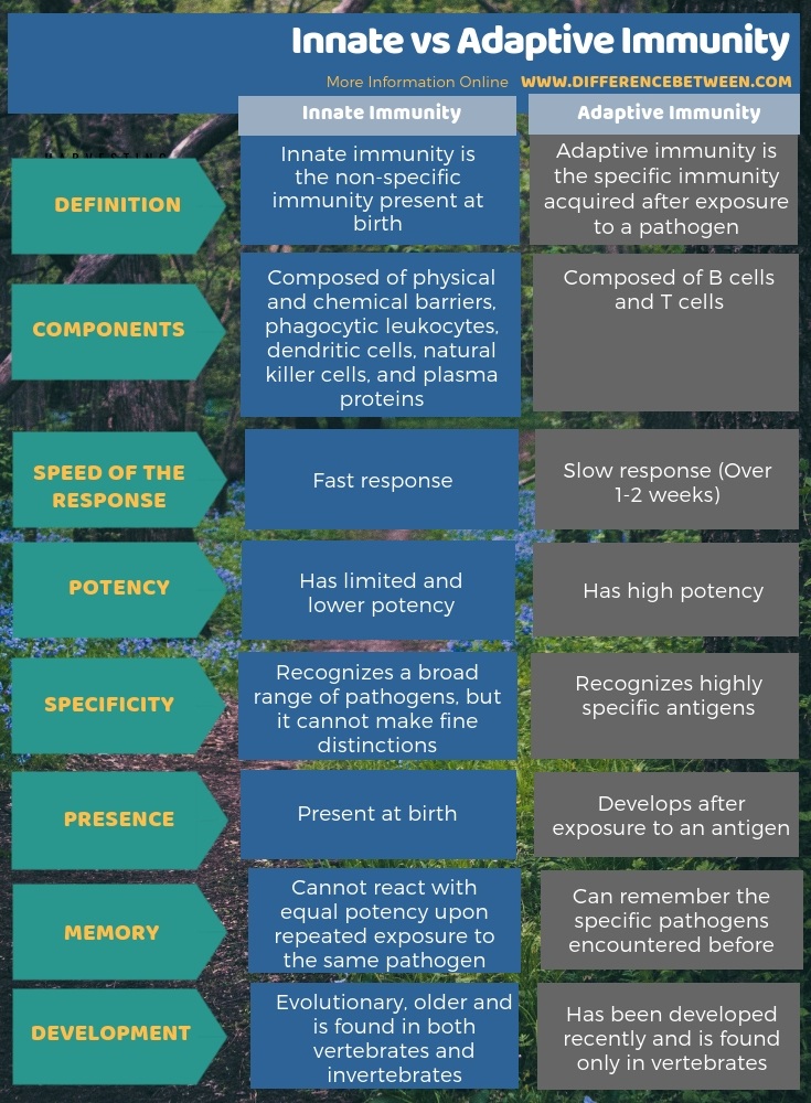 Difference Between Innate and Adaptive Immunity in Tabular Form