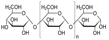 Difference Between Sugar and Starch