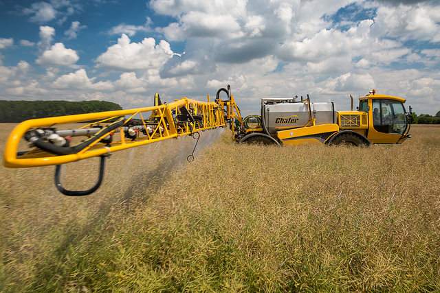 Difference Between Herbicide and Insecticide