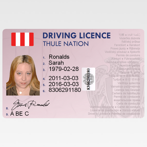 Difference Between Licence and License