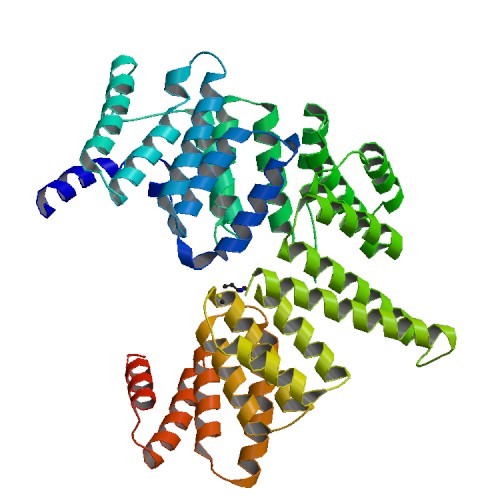 Difference Between Polymer and Macromolecule