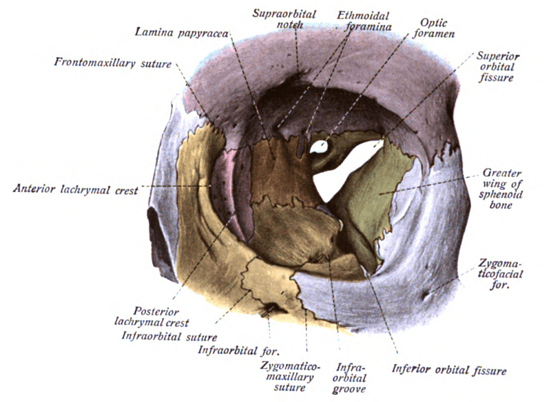 difference between fissure and fistula