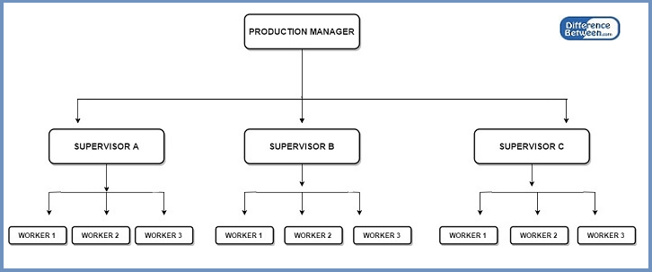 Key Difference - Line Organization vs Functional Organization 