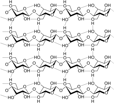 Key Difference - Lignin vs Cellulose 