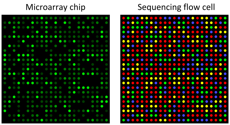 KEy Difference Between Proteomics and Transcriptomics