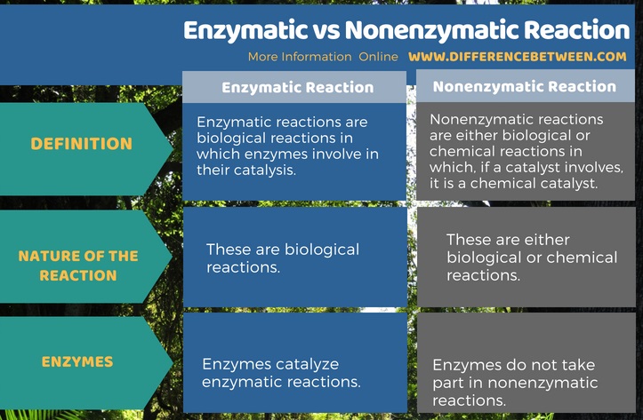 Difference Between Enzymatic and Nonenzymatic Reaction in Tabular Form