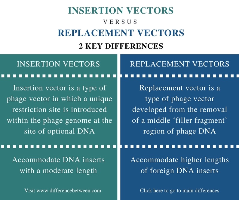 Difference Between Insertion and Replacement Vectors - Comparison Summary