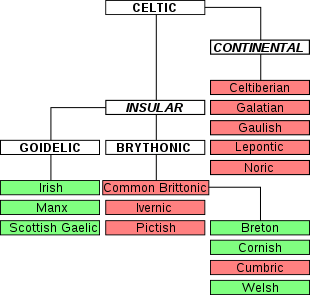 Difference Between Synchronic and Diachronic Linguistics 