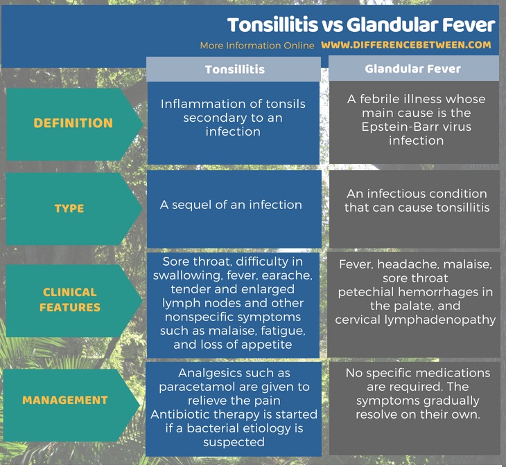 Difference Between Tonsillitis and Glandular Fever in Tabular Form