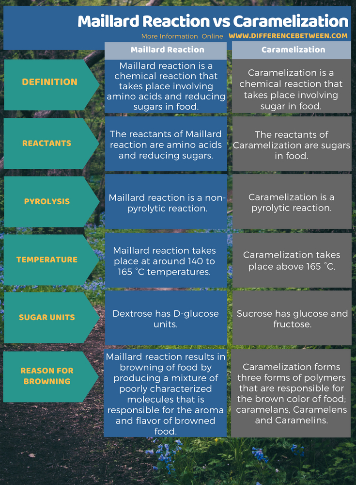 Difference Between Maillard Reaction and Caramelization in Tabular Form